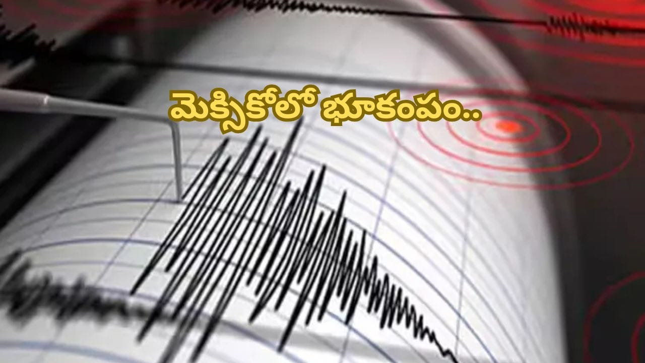 Earthquake in Mexico:మెక్సికోలో భూకంపం.. ఒకరు మృతి, 12మందికి గాయాలు