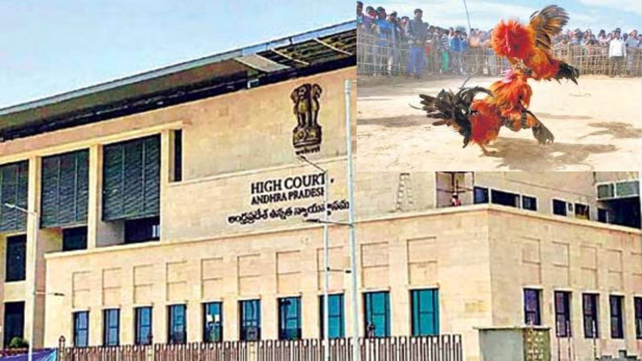 High Court:పందెం రాయుళ్లకు షాక్.. కోడి పందేలను అడ్డుకోవాలని హైకోర్టు ఆదేశం