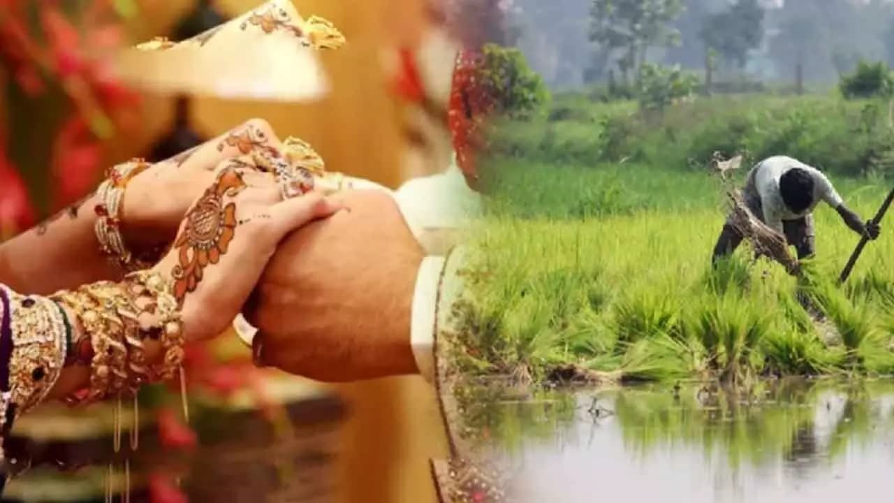 Farmers Marriage: రైతులను పెళ్లి చేసుకుంటే సర్కార్ నుంచి భారీ ఆఫర్? సీఎంకు ఎమ్మెల్యే లేఖ!