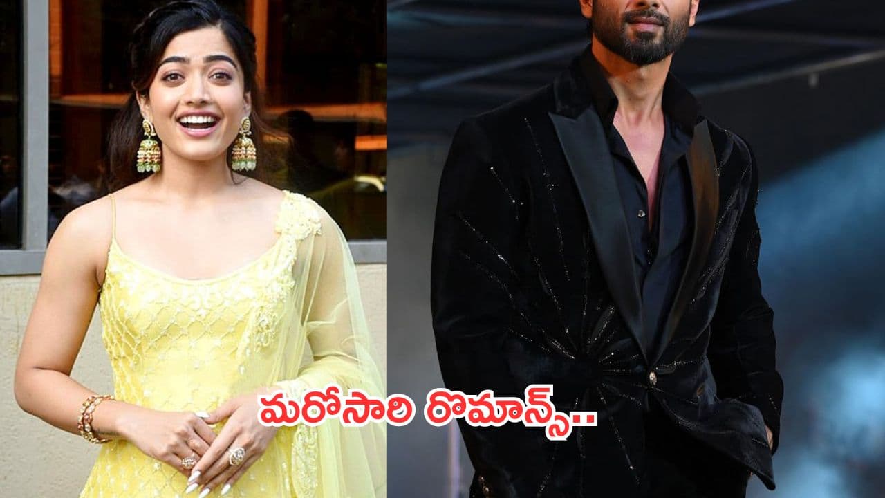 Rashmika Mandanna:మరో బాలీవుడ్ సినిమాలో ఛాన్స్ కొట్టేసిన రష్మిక.. ఆ హీరోతో మళ్లీ రొమాన్స్..