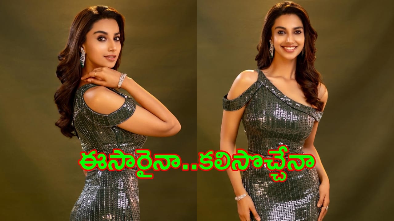 Meenakshi Chaudhary : మీనాక్షికి అక్కడ ఈసారైనా కలిసొస్తుందా!