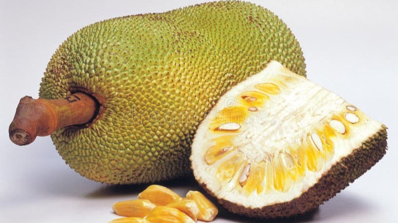 Benefits of Jackfruit:పనస పండు తింటే ఎన్ని ప్రయోజనాలు ఉన్నాయో మీకు తెలుసా?